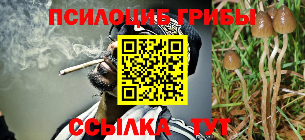 Псилоцибиновые грибы Psilocybe Лянтор